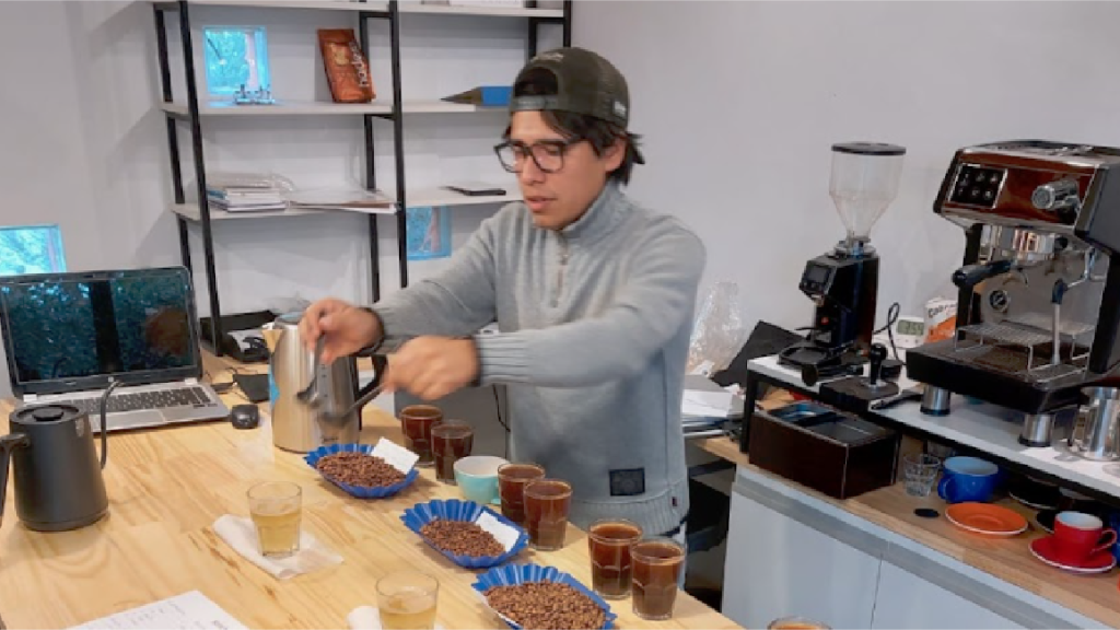 Projects – Majestic Coffees